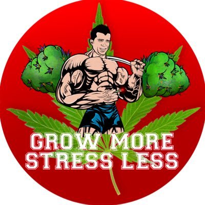 Super Buff Cherry #26
